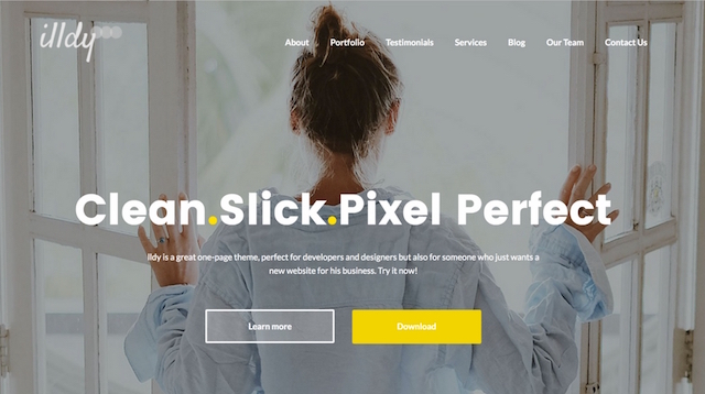 Free Portfolio Wordpress Themes Illdy