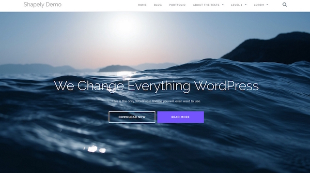 Free Portfolio Wordpress Themes Shapely