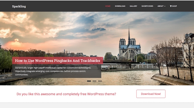 Free Portfolio WordPress Themes Sparkling