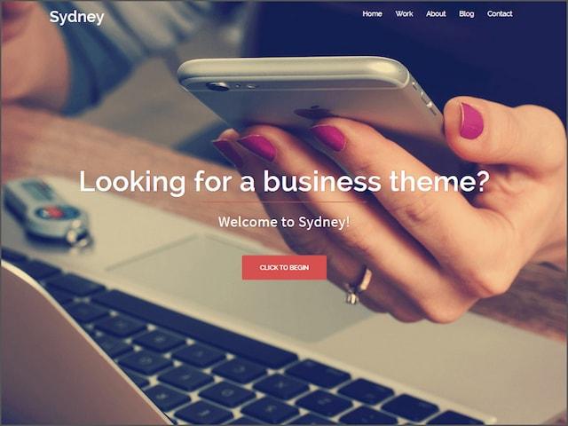 Free Responsive Portfolio WordPress Themes Sydney