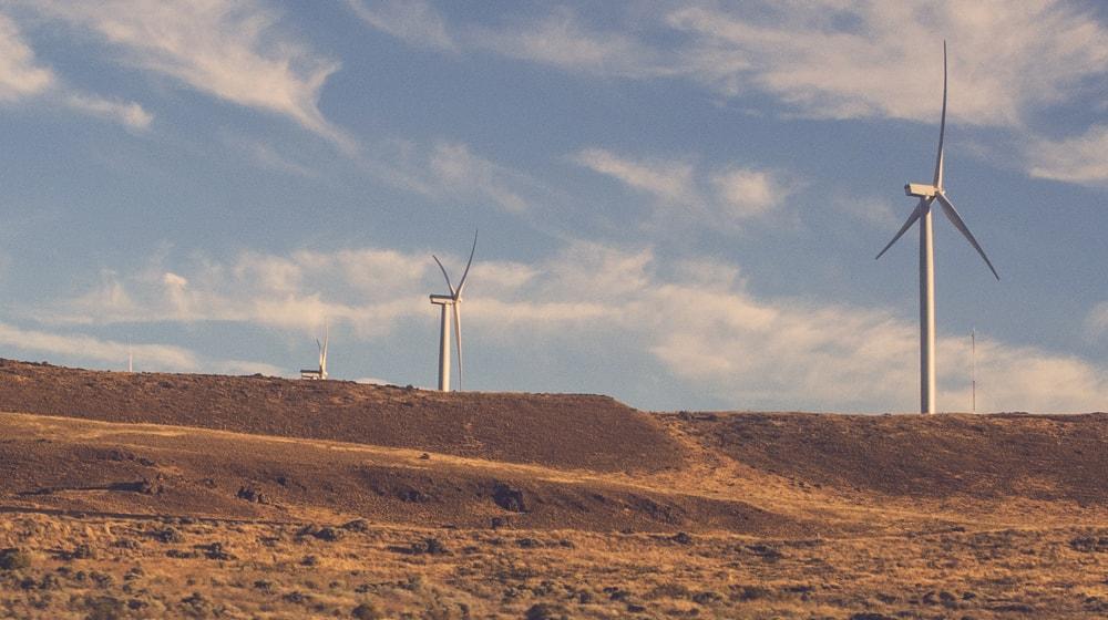 Free WooCommerce Extensions For New Ecommerce Sites Windmill