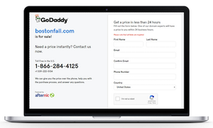GoDaddy For Sale Landers Sample Page
