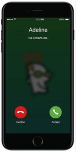 GoDaddy SmartLine Business Call