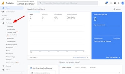 Google Analytics Audience