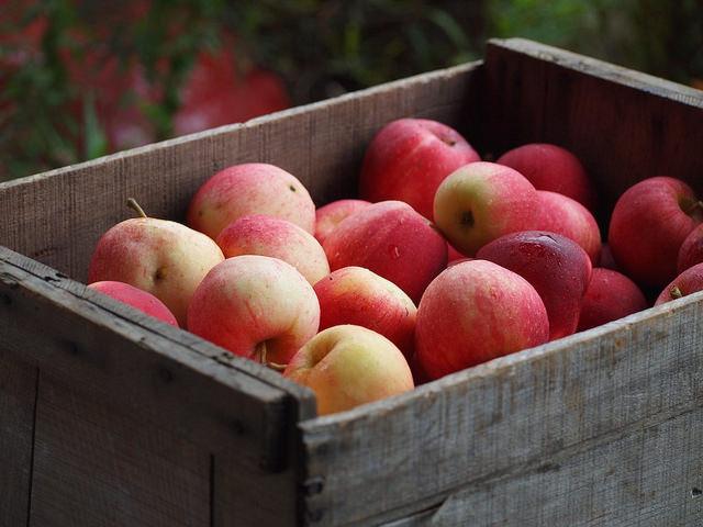 How Much Does A Domain Name Cost Apples
