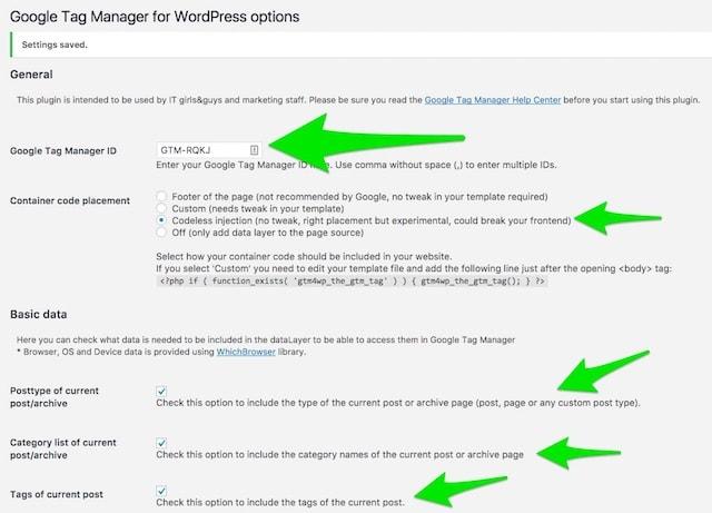Google Tag Manager WordPress Options