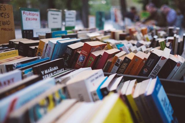 How to Blog a Book Paperbacks
