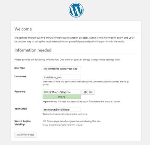 How To Build A WordPress Website Password