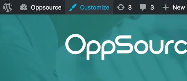 How to Customize WordPress Theme Customizer
