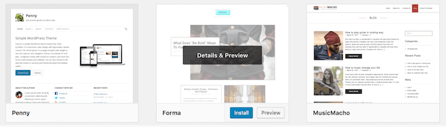 WordPress Theme Details Preview