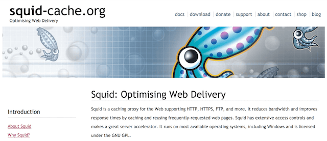 Squid Cache website screen shot