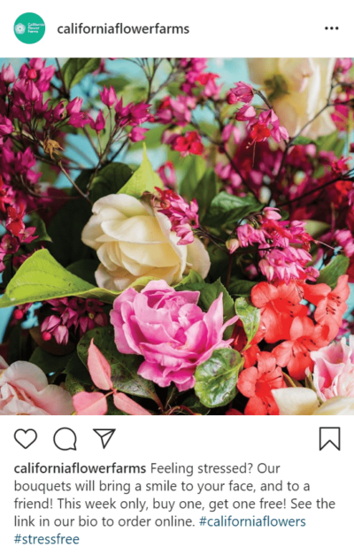 Instagram Post Of Flowers That Says Buy One Get One Free And See Link In The Bio