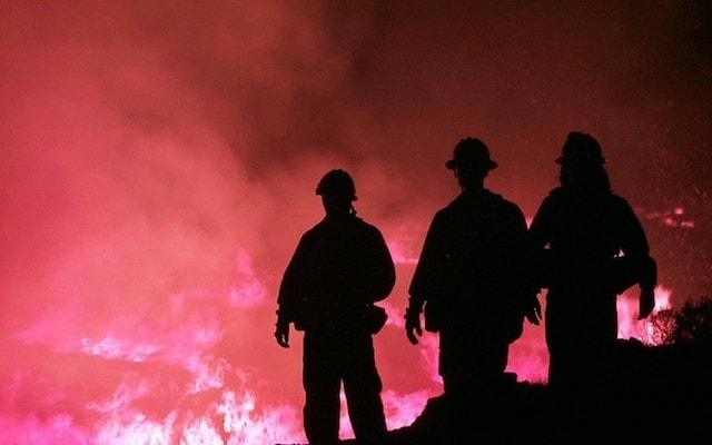 Insurance Industry Trends Wildfire