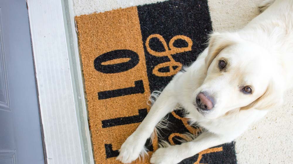Landing Pages Welcome Mat