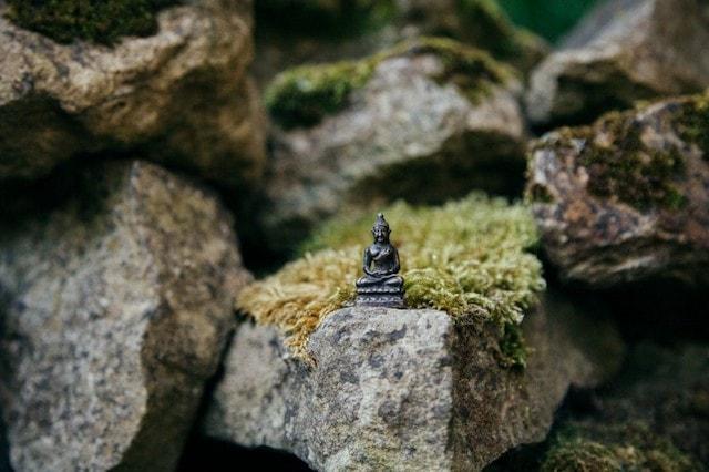 Landscape Designer Buddha