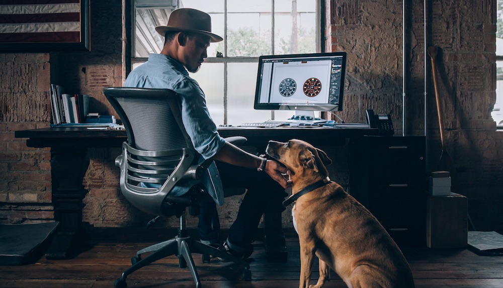 Man working on a WordPress 5 site with his dog