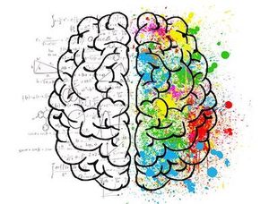 Mindfulness For Entrepreneurs Colorful Brain