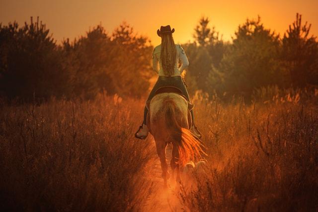 Online Tools Into The Sunset
