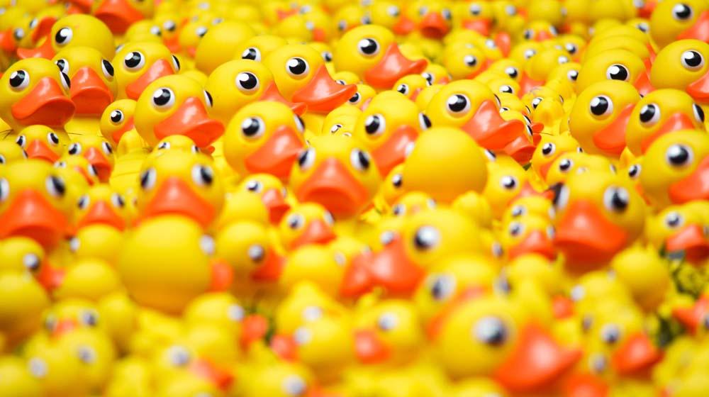 Organize Client Leads Filing