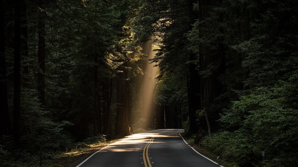 People Of Color Shaft of Sunlight Shining on Road