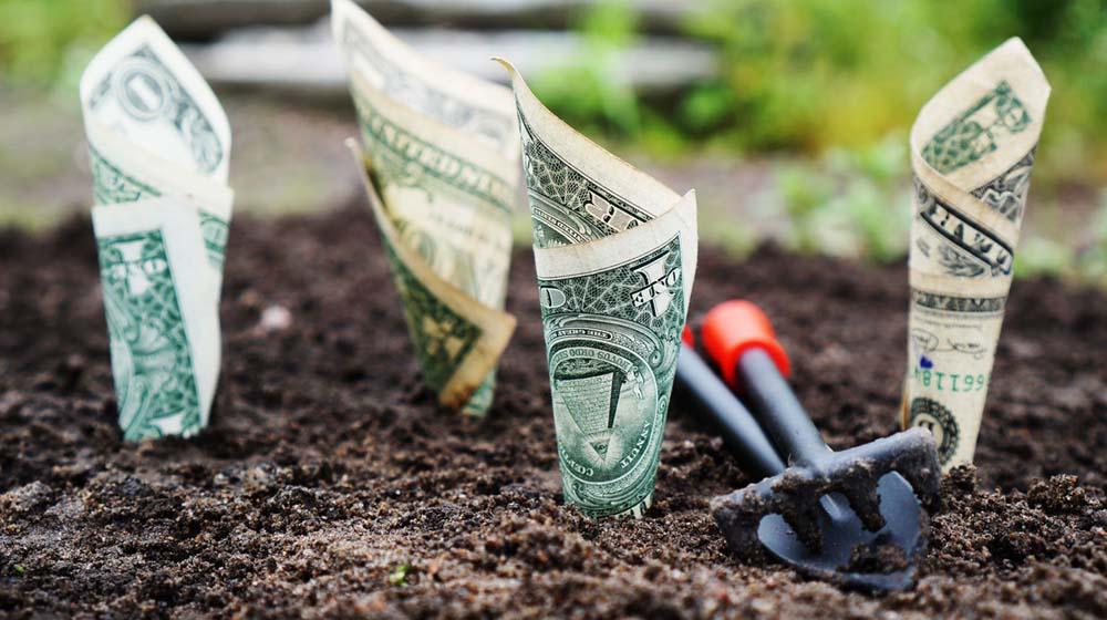 Recurring Revenue
