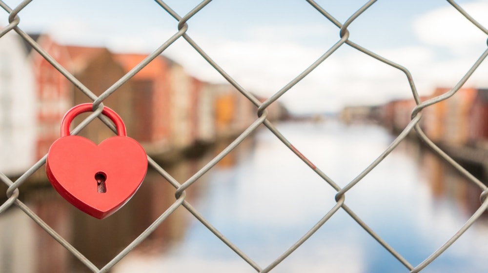 Red Lock on Chain Fence Illustrates Domain EPP Code for Security