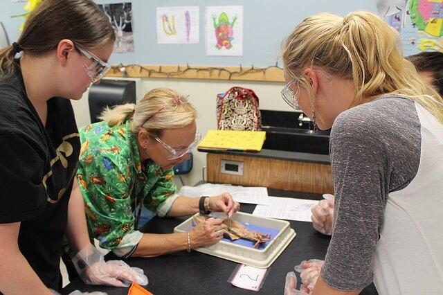 .Science Domain Classroom