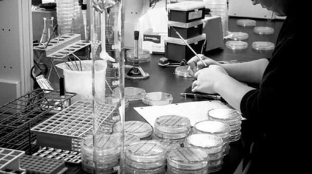 Science Incubators Lab