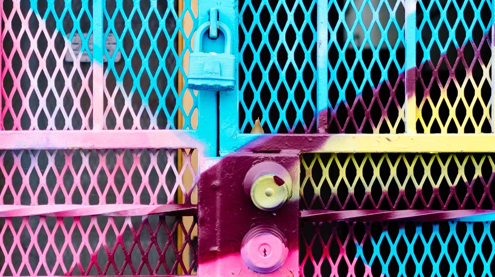 Secure Website Locks