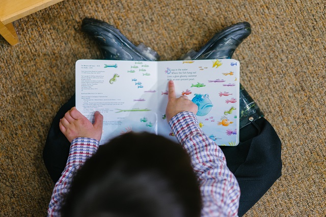 Small Child Reading From A Picture Book