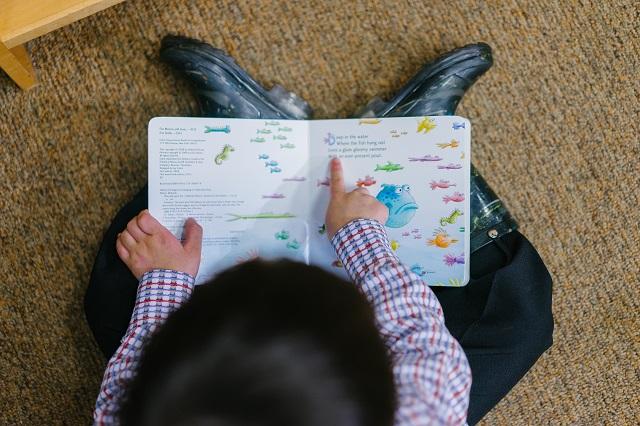 Small Child Reading From A Picture Book