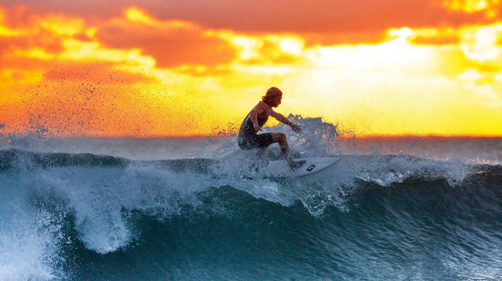 Social Trends Surfing