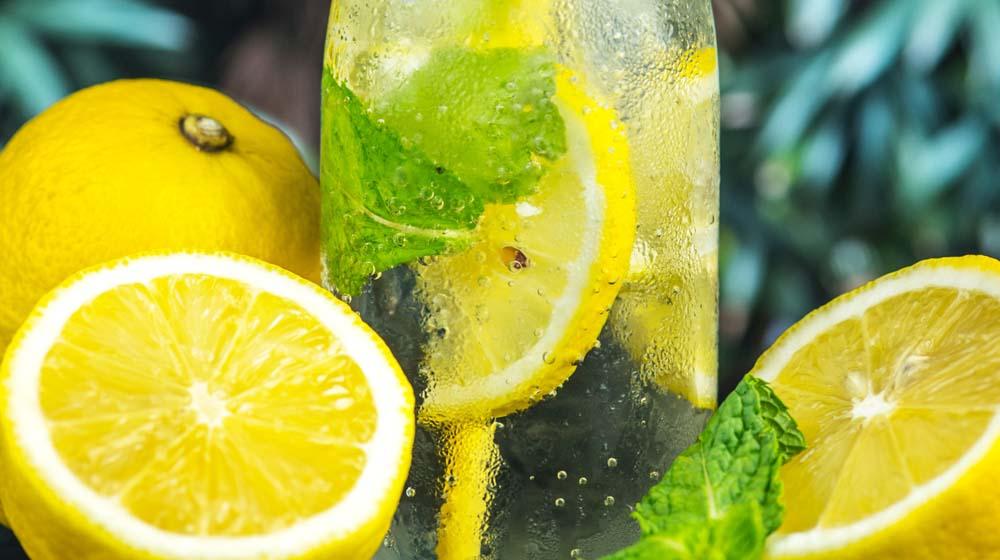 Start Business Government Shutdown Lemonade