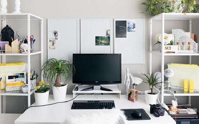 Stock Photography Original