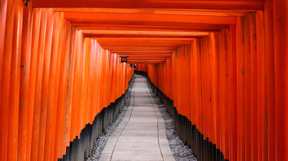 Time Block Calendar Path Surrounded By Orange Walls