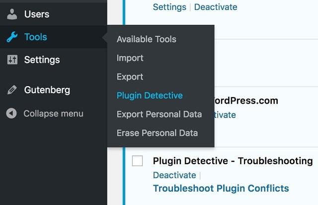 Troubleshooting WordPress Plugin Detective Settings