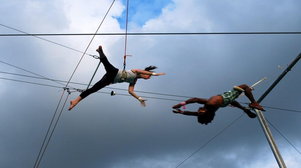 Trust Signals Trapeze