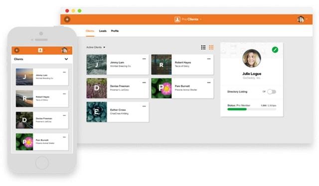 Types Of Clients GoDaddy Pro