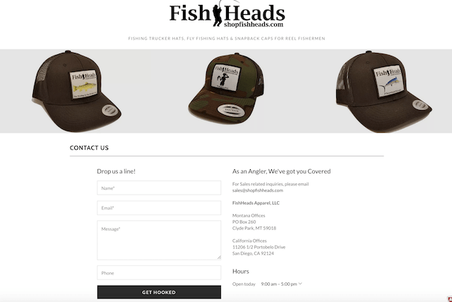 Website Design Mistakes FishHeads