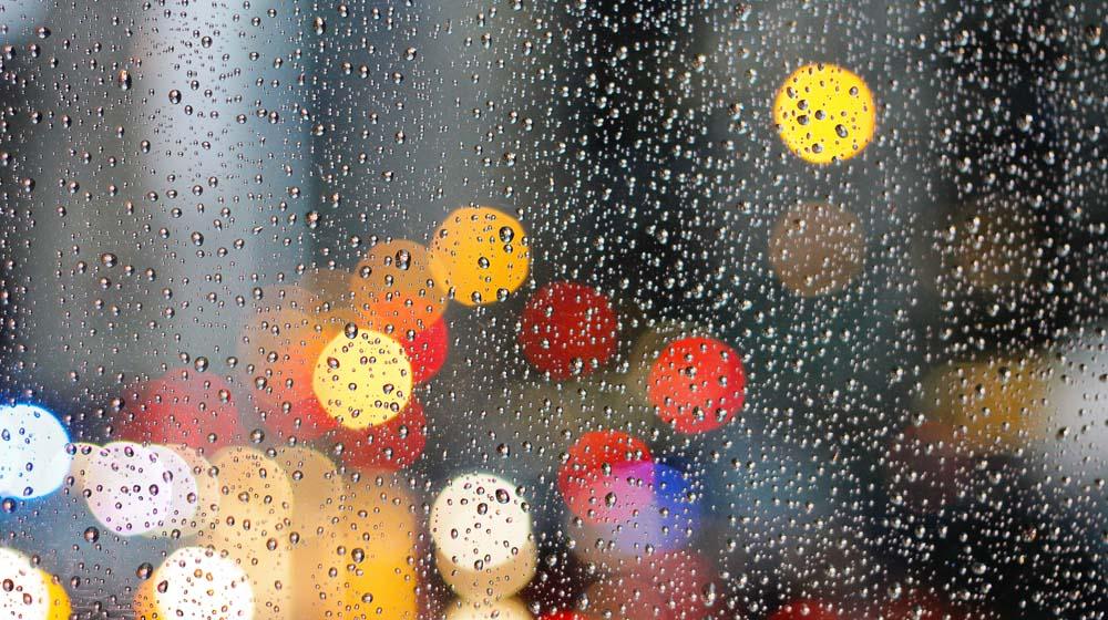 Website Monetization Rain