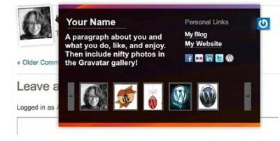 What Is A Gravatar Description