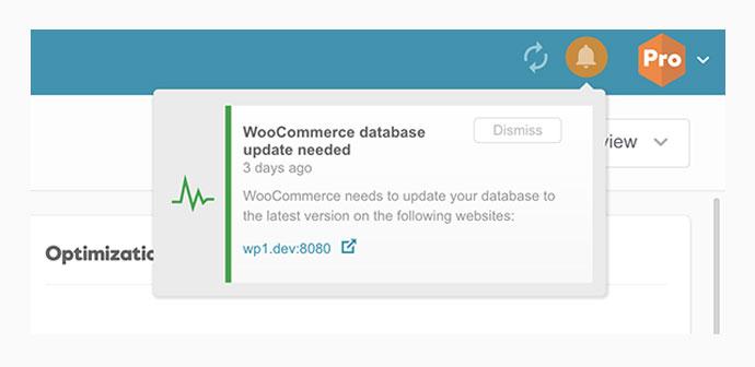 woocommerce database update
