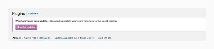 woocommerce database update