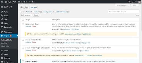 WordPress Dashboard Manage Plugins