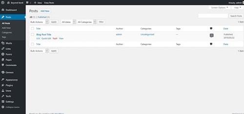 WordPress Dashboard Posts