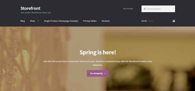 WordPress eStore WooCommerce Storefront Theme