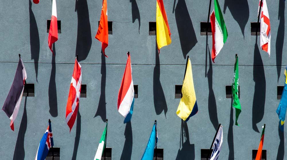 Wordpress Multilingual Flags