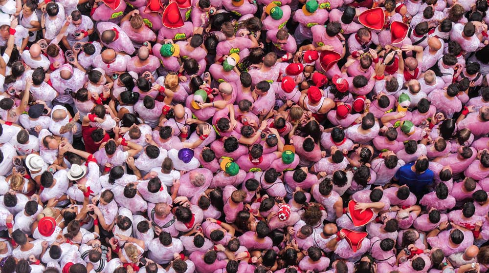 WordPress Plugins Email Subscription Crowd