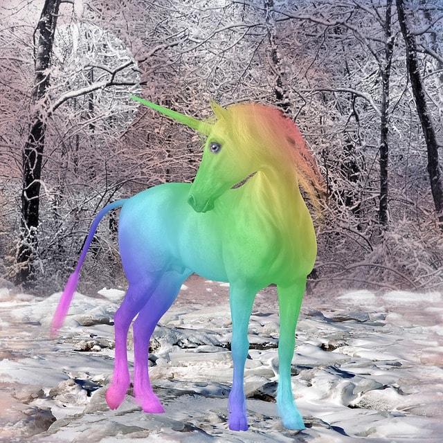 Working With A Graphic Designer Unicorn